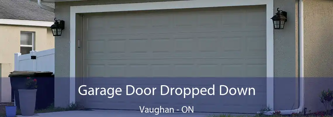 Garage Door Dropped Down Vaughan - ON