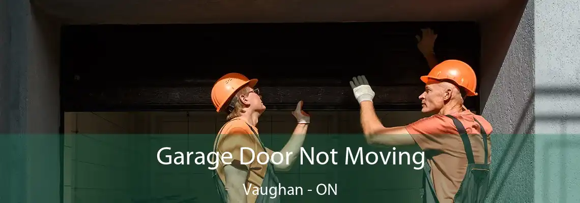 Garage Door Not Moving Vaughan - ON